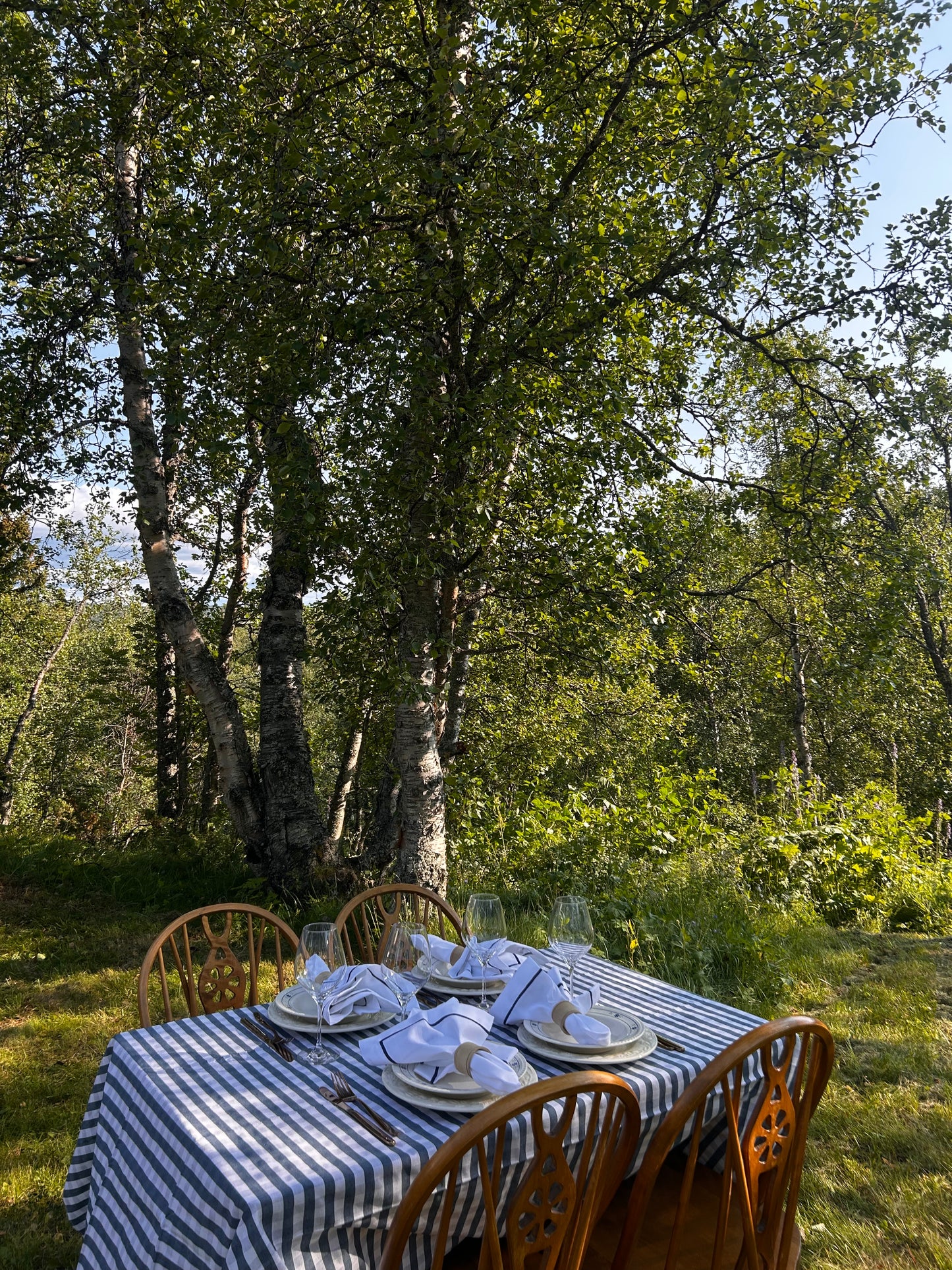 Bistroduk Navy ( 140cm x 300cm)