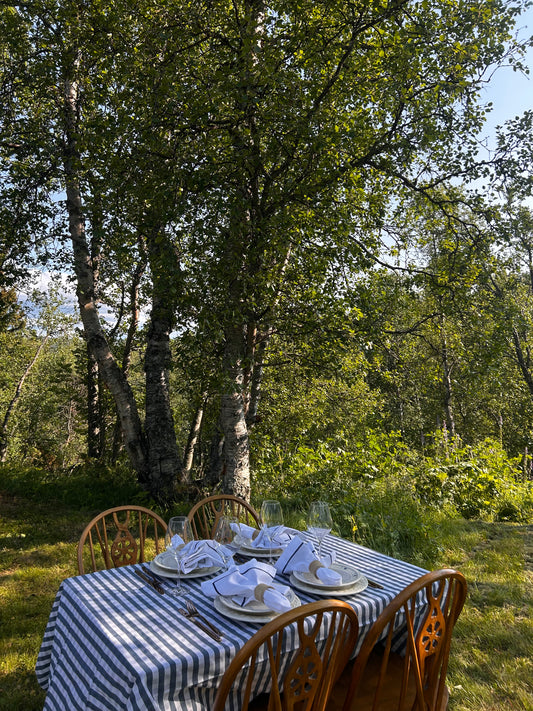 Bistroduk Navy ( 140cm x 300cm)